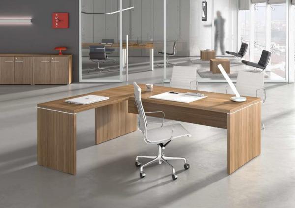 Different Designs of Professional Office Desk