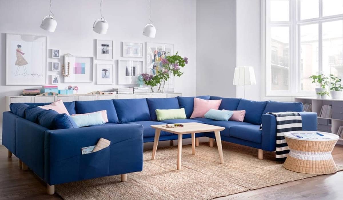  sofa colore choose combination 2023 