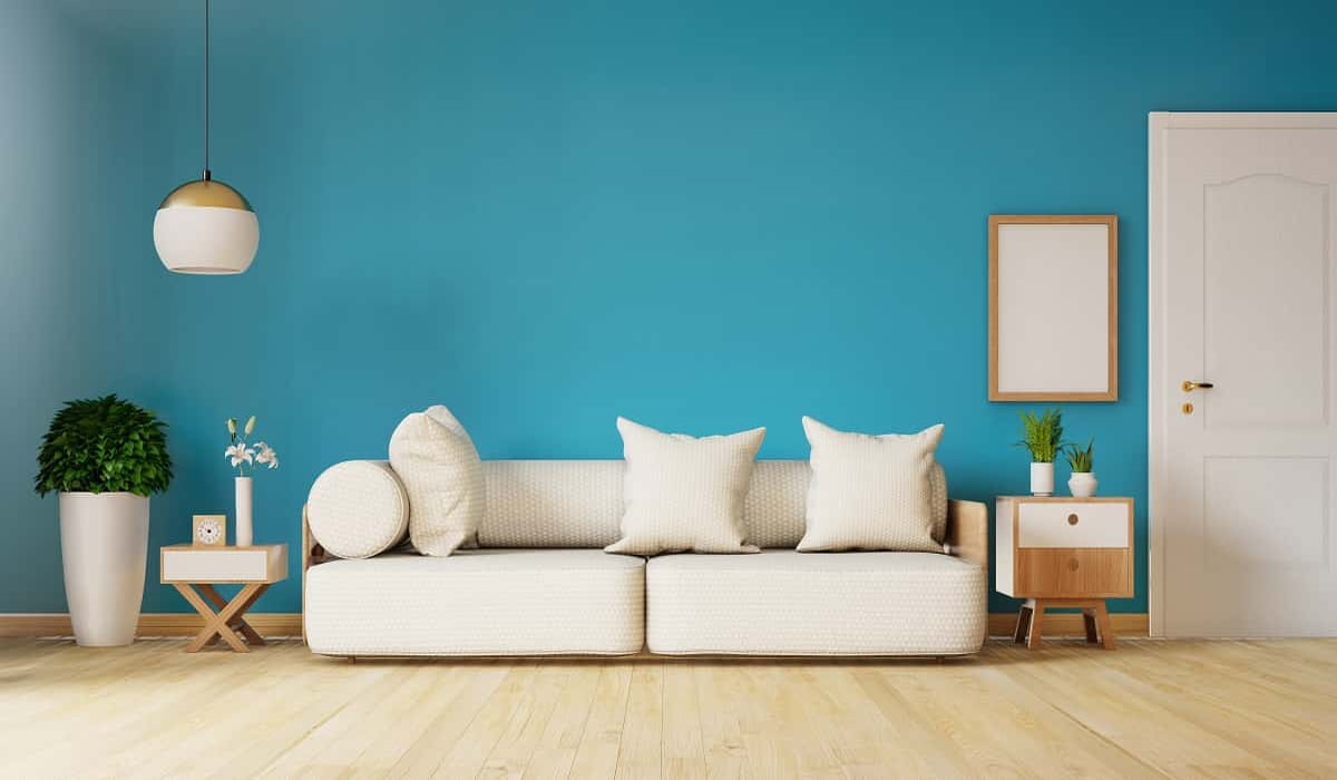  sofa colore choose combination 2023 