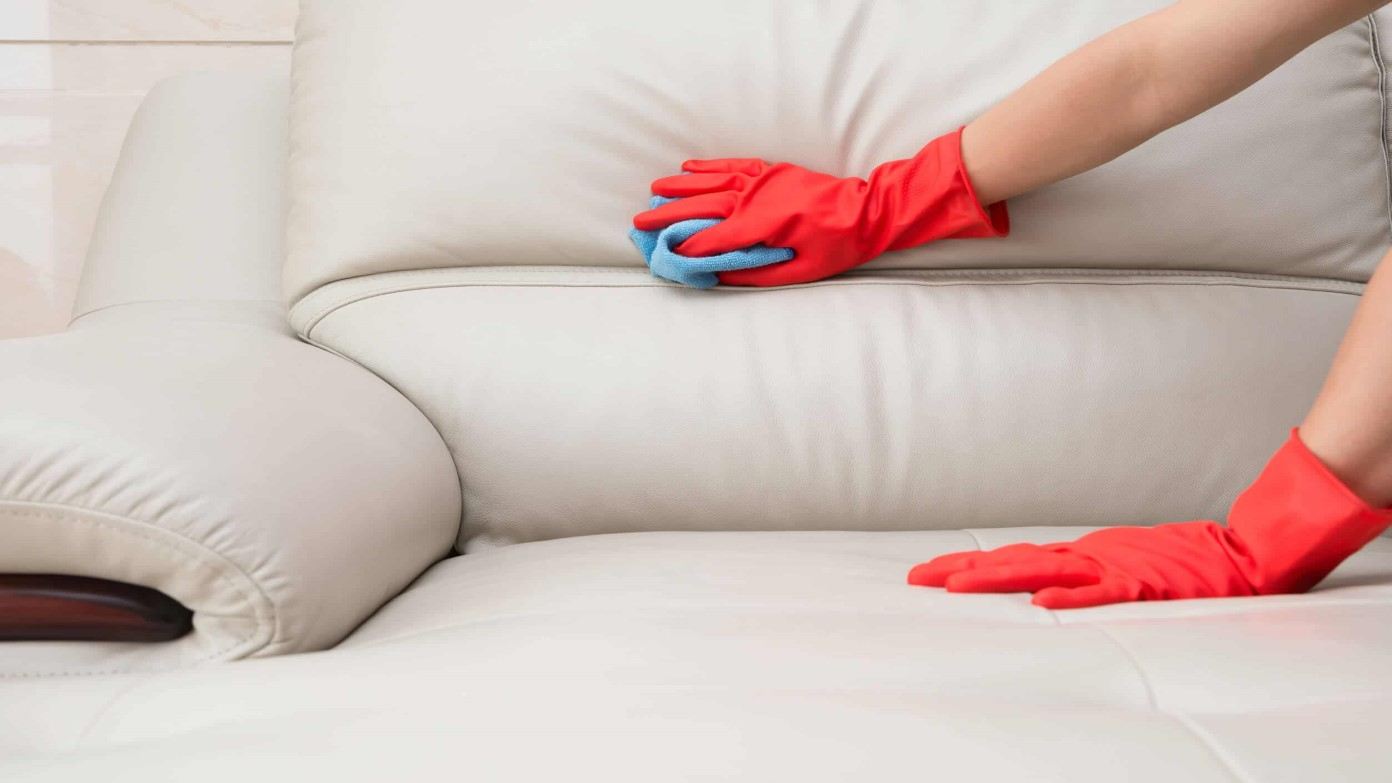 Sofa Fabric Care and Clean Naturally 