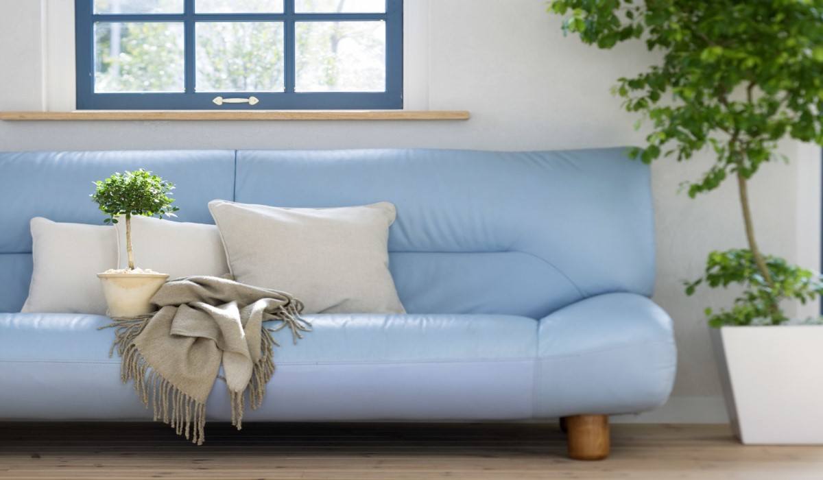  Introducing confortale sofa bed + the best purchase price 